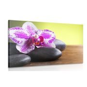 Picture of black stones with orchid
