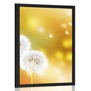 POSTER DANDELION - FLOWERS - POSTERS