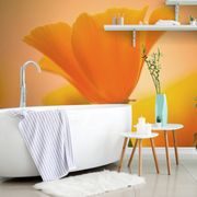 WALL MURAL BEAUTIFUL FLOWER - WALLPAPERS FLOWERS - WALLPAPERS