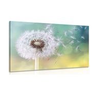 TABLEAU SUR TOILE – PISSENLIT MAGIQUE - TABLEAUX DE FLEURS - TABLEAUX