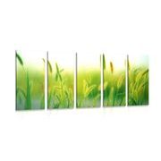 5 part picture stalks grass in green design