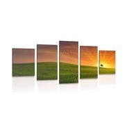 5-PIECE CANVAS PRINT TREE ON A MEADOW - PICTURES OF NATURE AND LANDSCAPE - PICTURES