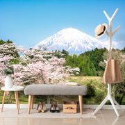 WALL MURAL MOUNT FUJI - WALLPAPERS NATURE - WALLPAPERS