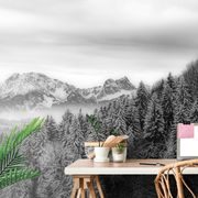 Selbstklebende Fototapete Schwarz-weißes Wintergebirge