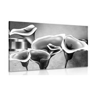 CANVAS PRINT ELEGANT CALLA FLOWERS IN BLACK AND WHITE - BLACK AND WHITE PICTURES - PICTURES