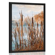 POSTER FLUSS INMITTEN DER HERBSTLICHEN NATUR - NATUR - POSTER