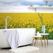 WALL MURAL YELLOW BLOOMING FIELD - WALLPAPERS NATURE - WALLPAPERS