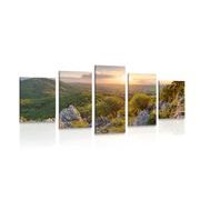 5-piece Canvas print nature bathed in the sun