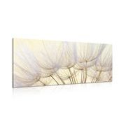 QUADRO SU TELA – SEMI DI SOFFIONE - STAMPE E QUADRI - 🔥 SVENDITA TOTALE