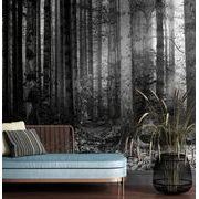 SELF ADHESIVE WALL MURAL BLACK AND WHITE SECRET OF THE FOREST - SELF-ADHESIVE WALLPAPERS - WALLPAPERS