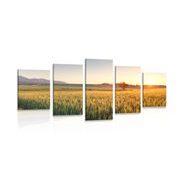5-delna slika sončni zahod nad pšeničnim poljem