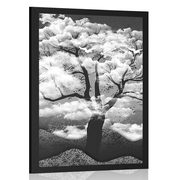 POSTER MIT WOLKEN BEDECKTER SCHWARZ-WEISSER BAUM - SCHWARZ-WEISS - POSTER