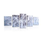 5-PIECE CANVAS PRINT MACRO DANDELION - PICTURES FLOWERS - PICTURES