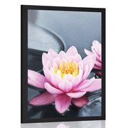 POSTER LOTUS FLOWER IN THE LAKE - FLOWERS - POSTERS