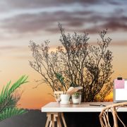 WALL MURAL BRANCHES IN THE SUNSET - WALLPAPERS NATURE - WALLPAPERS