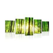 5-PIECE CANVAS PRINT LUSH GREEN FOREST - PICTURES OF NATURE AND LANDSCAPE - PICTURES