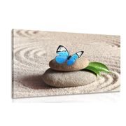 OBRAZ MODRÝ MOTÝL V ZEN ZAHRADĚ - OBRAZY FENG SHUI - OBRAZY
