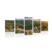 5-piece Canvas print nature bathed in the sun