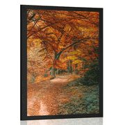 POSTER – BELLA FORESTA IN AUTUNNO - NATURA - POSTER