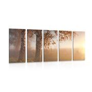 5-PIECE CANVAS PRINT MISTY AUTUMN FOREST - PICTURES OF NATURE AND LANDSCAPE - PICTURES