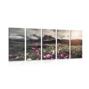 5 part picture meadow blooming flowers