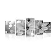 5-PIECE CANVAS PRINT BLACK AND WHITE MAGNOLIA ON AN ABSTRACT BACKGROUND - BLACK AND WHITE PICTURES - PICTURES