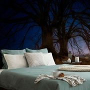 WALLPAPER TREES IN A NIGHT LANDSCAPE - WALLPAPERS NATURE - WALLPAPERS