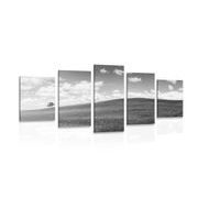 5 part picture of a beautiful day on the meadow in black & white