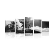 Εικόνα 5 μερών μιας όμορφης παραλίας στο νησί των Σεϋχελλών σε μαύρο & άσπρο