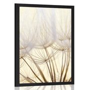 POSTER DANDELION SEEDS - FLOWERS - POSTERS