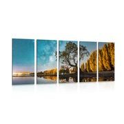 QUADRO IN 5 PARTI ALBERO SOTTO IL CIELO STELLATO - QUADRI DI NATURA E PAESAGGIO - QUADRI