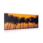 CANVAS PRINT SUNSET OVER PALM TREES - PICTURES OF NATURE AND LANDSCAPE - PICTURES