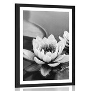 Plakát s paspartou lotosový květ v jezeře v černobílém provedení