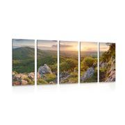 5-PIECE CANVAS PRINT NATURE BATHED IN THE SUN - PICTURES OF NATURE AND LANDSCAPE - PICTURES