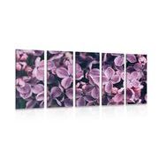 5-PIECE CANVAS PRINT PURPLE LILAC FLOWERS - PICTURES FLOWERS - PICTURES