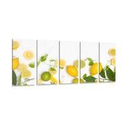 5-PIECE CANVAS PRINT MIX OF CITRUS FRUITS - PICTURES OF FOOD AND DRINKS - PICTURES