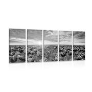 5-piece Canvas print sunrise over a meadow with tulips in black and white