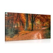 CANVAS PRINT FOREST IN AUTUMN - PICTURES OF NATURE AND LANDSCAPE - PICTURES