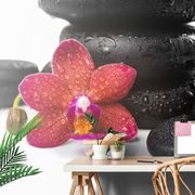 PAPIER PEINT ORCHIDÉE ET PIERRES ZEN SUR FOND BLANC - FOND D'ÉCRAN FENG SHUI - PAPIER PEINT