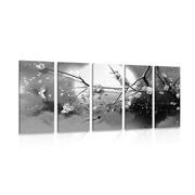 5 part picture branches tree for a full moon in black & white
