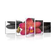 5-piece Canvas print orchid and Zen stones on a white background