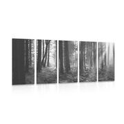 5-dijelna slika šuma obasjana suncem u crno-bijelom dizajnu