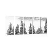 5-PIECE CANVAS PRINT SNOWY PINE TREES IN BLACK AND WHITE - BLACK AND WHITE PICTURES - PICTURES