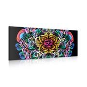 CANVAS PRINT MANDALA OF HEALTH - PICTURES FENG SHUI - PICTURES