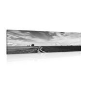 CANVAS PRINT MAGICAL LANDSCAPE IN BLACK AND WHITE - BLACK AND WHITE PICTURES - PICTURES