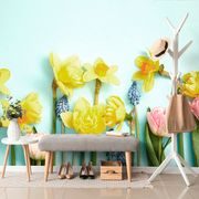 Fototapete Komposition mit Frühlingsblumen