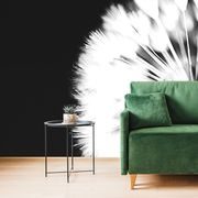 WALL MURAL DANDELION IN BLACK AND WHITE - BLACK AND WHITE WALLPAPERS - WALLPAPERS