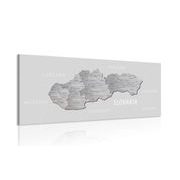 OBRAZ SIVÁ MAPA SLOVENSKA S DECENTNÝM KONTRASTOM - OBRAZY MAPY - OBRAZY