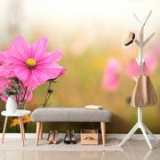 WALL MURAL BLOOMING PINK FLOWER - WALLPAPERS FLOWERS - WALLPAPERS