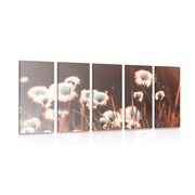 5-PIECE CANVAS PRINT COTTON GRASS - PICTURES OF NATURE AND LANDSCAPE - PICTURES